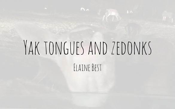 Yak tongues and zedonks