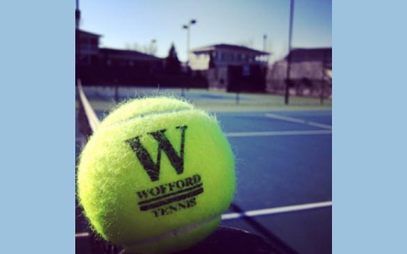 A ball. A tennis ball. A Wofford tennis ball. Loved by tennis players and golden retrievers alike.
