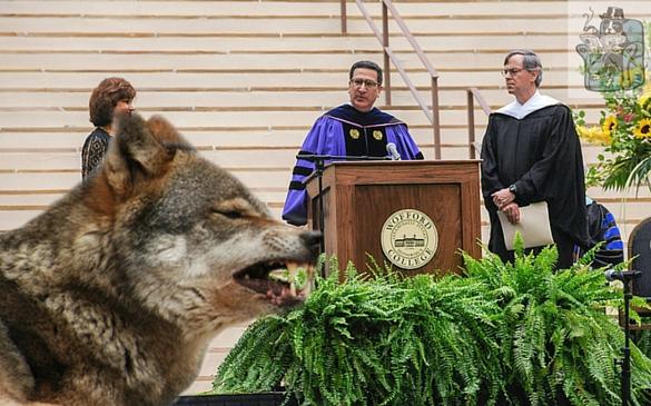  “Campus is not a safe space,” President Sambrerro declared, releasing wolves onto campus. His statement followed an announcement by Provost Dennis Wiseguy that he was cutting tenure in all departments.