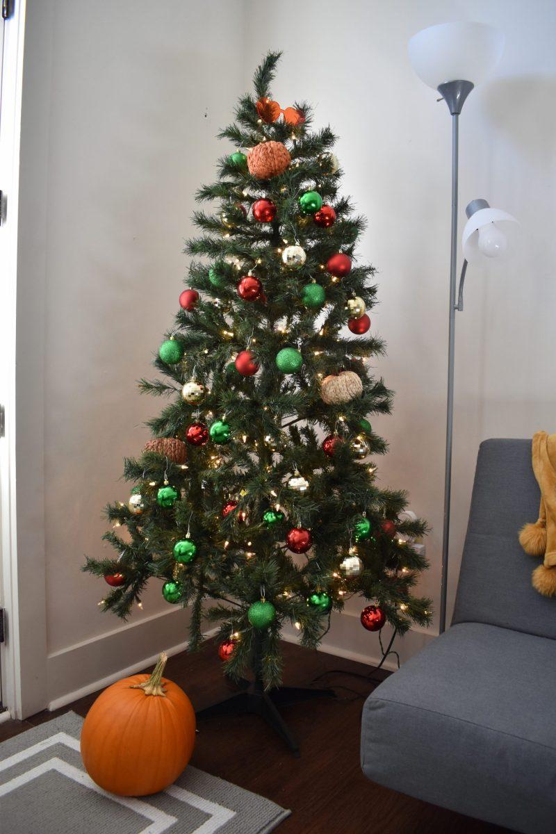 Together, my roommates and I decorated my tree with pumpkins and Christmas ornaments to reflect our celebration of the two holidays at once