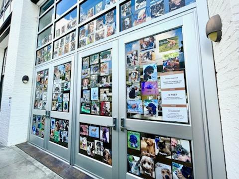 Photo by Anna Lee Hoffman.
The photo wall at the Blessing of the Pets 2021 ceremony help on Oct. 13.