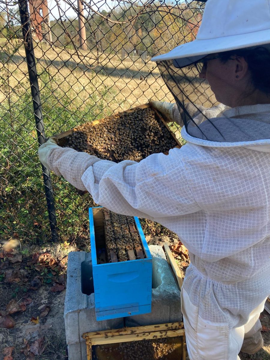 Wofford Beekeeping Club cares for its bee hives. Wofford has started a new Beekeeping Club for students interested in learning about and getting hands-on experience keeping bees.  

