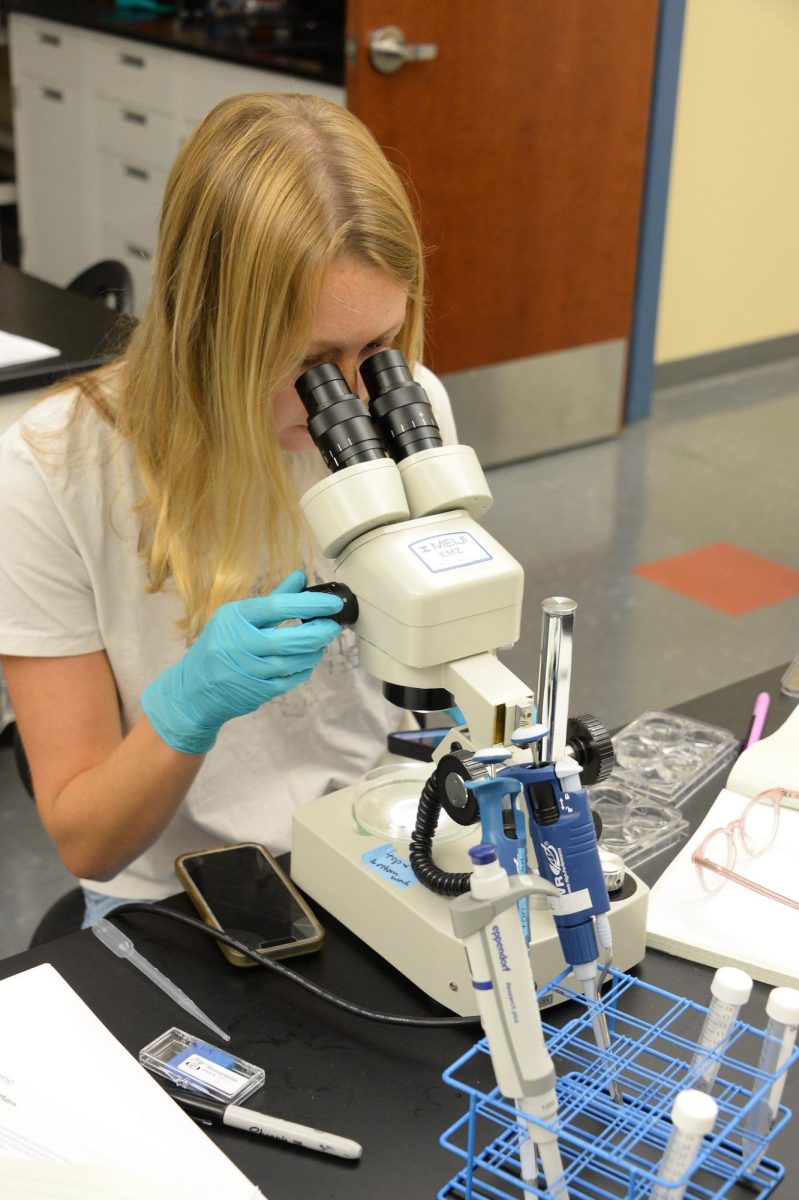Rylee Ashley ‘28, pictured conducting undergraduate research in the science lab, is grappling with losing her job as a medical scribe to AI.